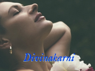 Divinakarni