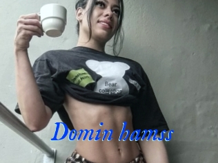 Domin_hamss