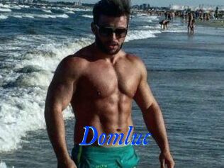 Domluc