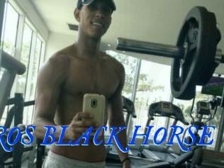 EROS_BLACK_HORSE