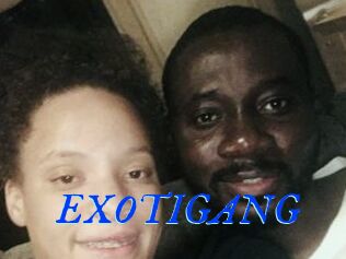 EXOTIGANG