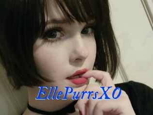 EllePurrsXO