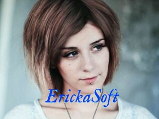 ErickaSoft