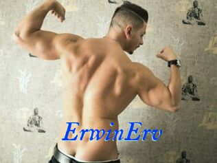 ErwinErv