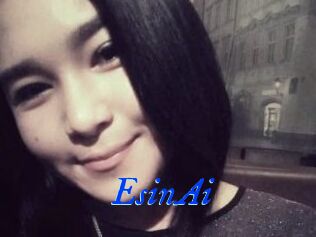 EsinAi