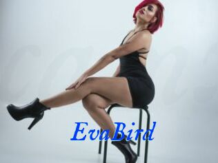 EvaBird