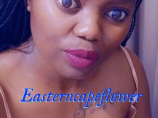 Easterncapeflower
