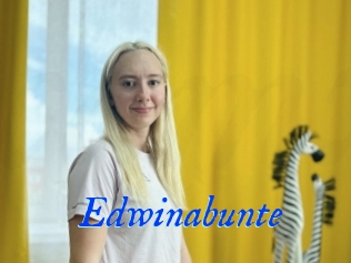 Edwinabunte