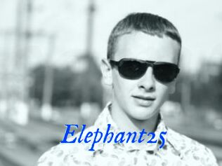 Elephant25
