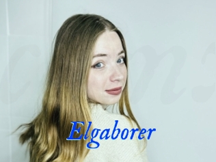 Elgaborer