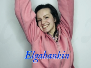 Elgahankin