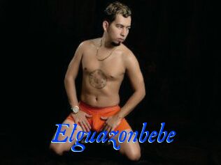 Elguazonbebe
