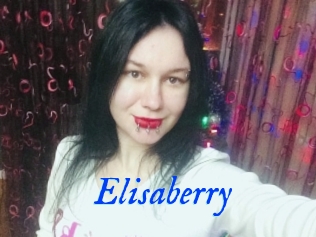 Elisaberry