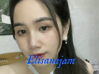Elisanajam