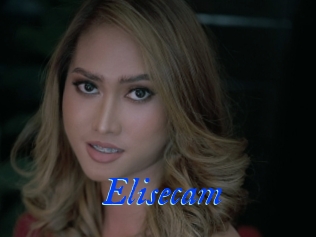Elisecam