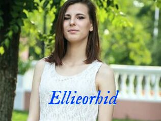 Ellieorhid