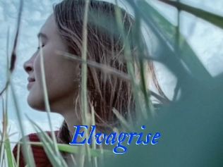 Elvagrise
