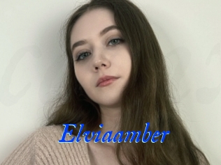 Elviaamber