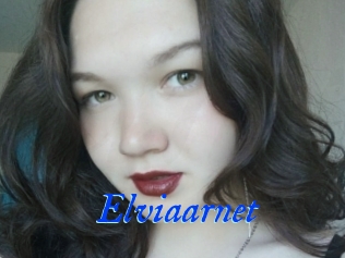 Elviaarnet