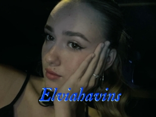 Elviahavins