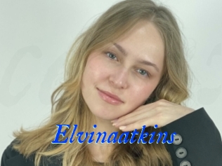 Elvinaatkins