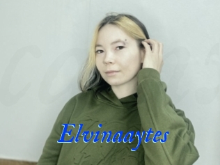 Elvinaaytes