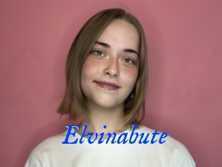 Elvinabute