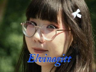 Elvinagitt