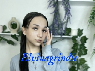 Elvinagrindle