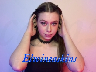 Elwineaskins