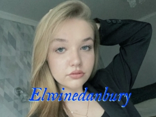 Elwinedanbury