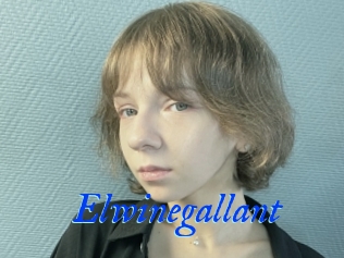 Elwinegallant