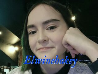Elwinehakey