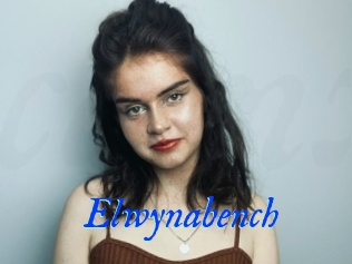 Elwynabench