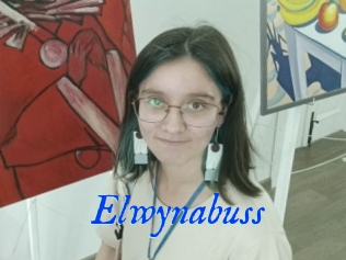 Elwynabuss