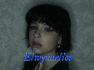 Elwynaeliot
