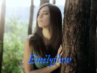 Emilyflow