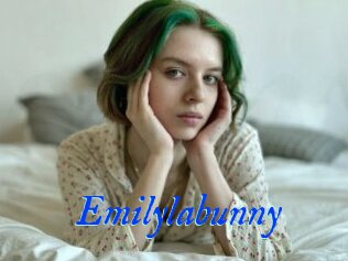 Emilylabunny