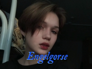Engelgorse
