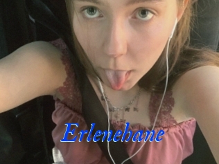 Erlenehane