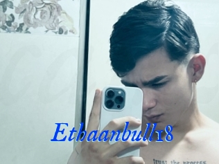 Ethaanbull18