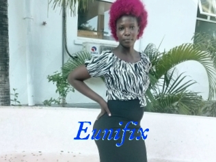 Eunifix