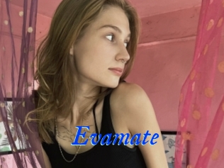 Evamate