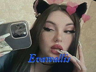 Evawallis