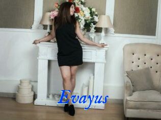 Evayus