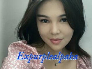 Expurplealpaka