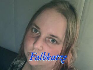 Falbkatze