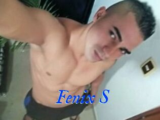 Fenix_S