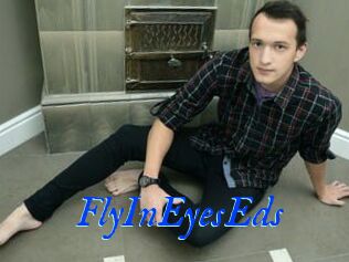 FlyInEyesEds