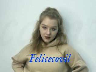 Felicecovil